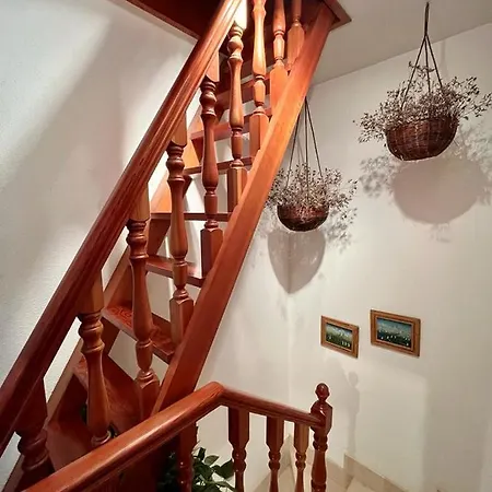 - Playa Lago Apartment Mino